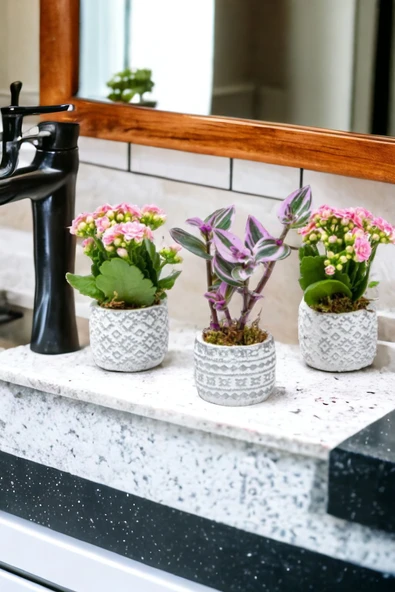 3 Adet Otantik Saksıda Çiçek Aranjman Set - Resim 5