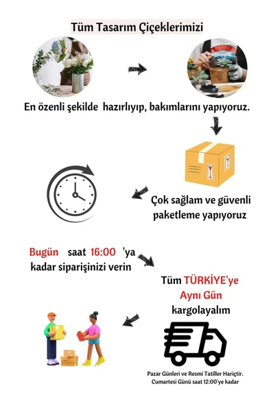 Antik Seramik Saksıda Callisia Repens - Resim 3