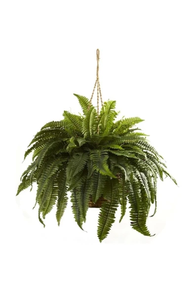 Fujer Aşk Merdiveni Askılı ürün görseli