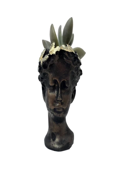 Helen Skulent Ve Kaktüs Saksısı ürün görseli