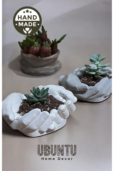 Palma Dekoratif Beton El Kase & Sukulent Saksısı Beyaz - 2