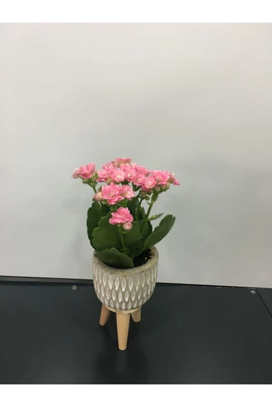 Kalanşo ürün görseli