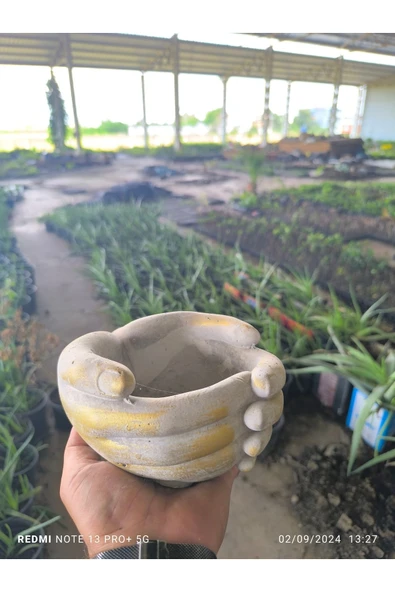 Avuç şeklinde taş Orkide bonsai ve aranjman saksısı - Resim 4