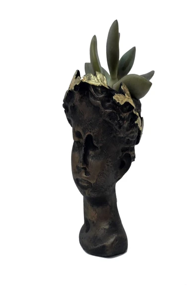 Helen Skulent Ve Kaktüs Saksısı - Resim 2