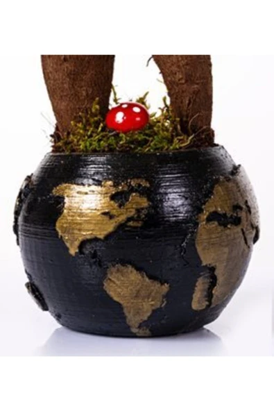 World Serisi Canlı Ficus Bonsai Bitkisi - Resim 2