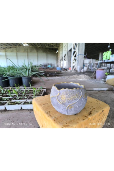 Yaprak desenli Beton orkide aranjman ve bonsai saksısı - 5