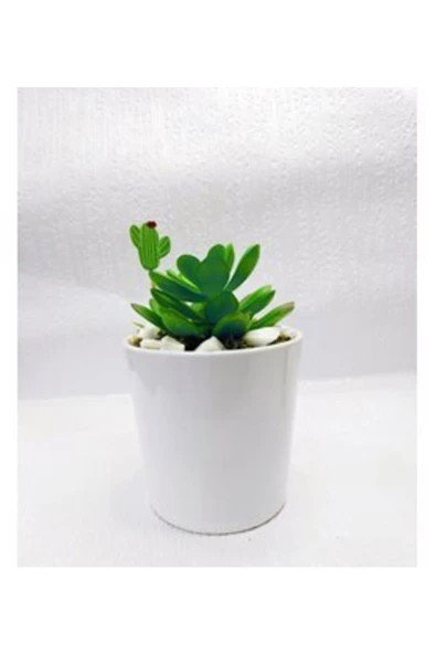 Tasarım Arkadaş Evlilik Yıl Dönümü Doğum Günü Hediye Beyaz Seramik Saksıda Sukulent ürün görseli 1