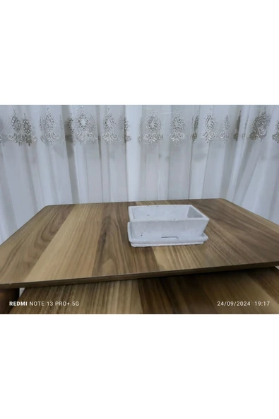 Salvador Dizayn  Tabaklı Taş Vazo Aranjman Bonsai ve Orkide Saksısı ürün görseli