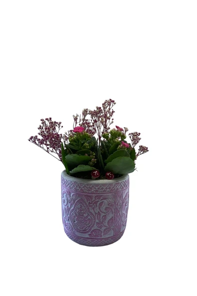 Dekoratif Saksıda Kalanchoe Şenliği ürün görseli