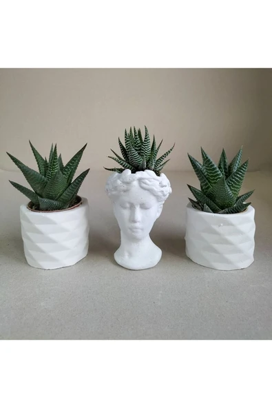 Helen Beyaz 3'lü Set 01 ürün görseli