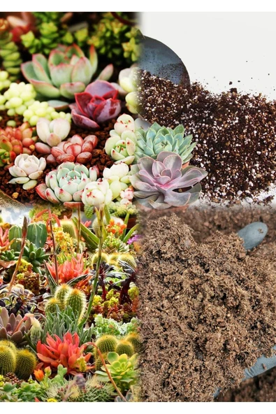 20 litre Süper Organik Kaktüs Toprağı (17 çeşit ağaç yaprağı ve 3 çeşit hayvan gübresi karışımı) - Resim 3