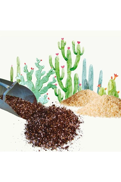5 litre Süper Organik Kaktüs Toprağı (17 çeşit ağaç yaprağı ve 3 çeşit hayvan gübresi karışımı) - Resim 3