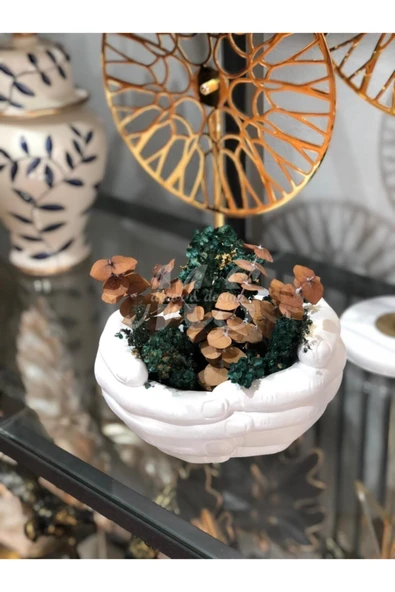 Dekoratif Avuç Saksı Gösterişli - Resim 4
