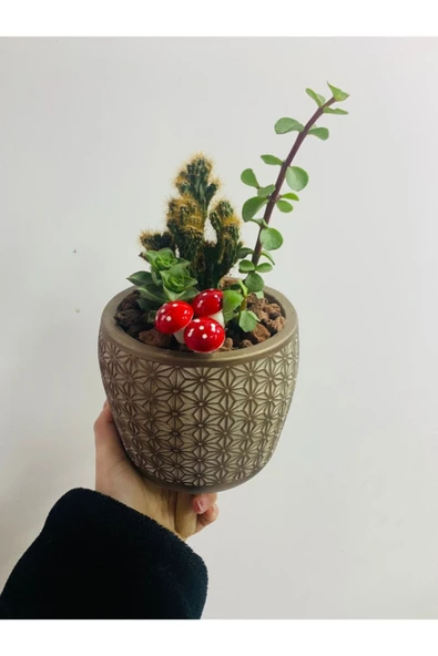 Ayaklı Saksıda Aranjman ürün görseli