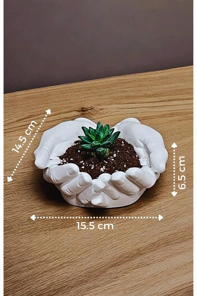 Palma Dekoratif Beton El Kase & Sukulent Saksısı Beyaz - 3