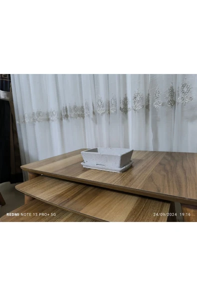 Salvador Dizayn  Tabaklı Taş Vazo Aranjman Bonsai ve Orkide Saksısı - Resim 5