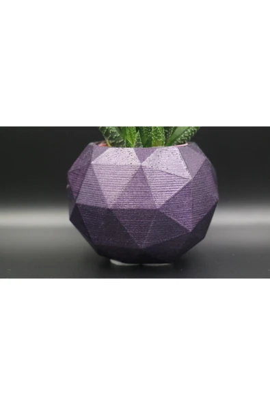 Fp3 Teramo Dekoratif Beton Saksı Ve Haworthia - Resim 2