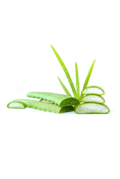 Aloe Vera Jel Için Doğal Yaprak 1. Kalite 3 Kg - 5