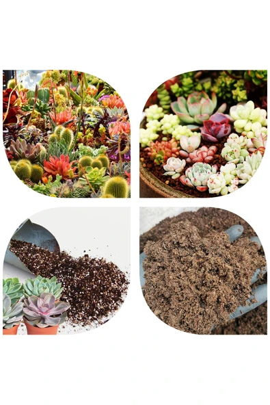 5 litre Süper Organik Kaktüs Toprağı (17 çeşit ağaç yaprağı ve 3 çeşit hayvan gübresi karışımı) ürün görseli