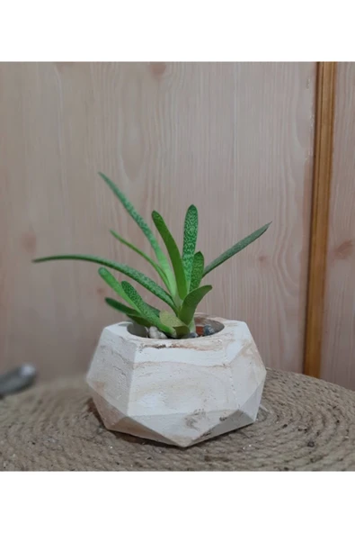 Geometrik Beton Saksı ürün görseli