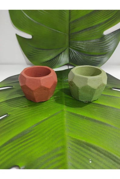 2li Sukulent Kaktus Saksı (6x6x6cm) ürün görseli 1