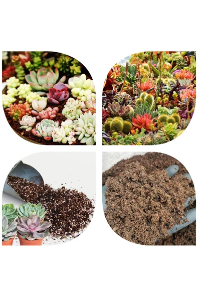 2 Litre Ultra Organik Kaktüs Toprağı (17 ÇEŞİT AĞAÇ YAPRAĞI VE 3 ÇEŞİT HAYVAN GÜBRESİ KARIŞIMI) ürün görseli