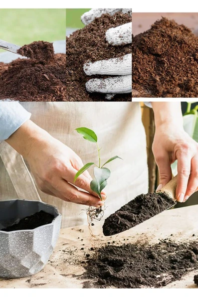 5 Litre Salon Bitkisi Toprağı Süper Organik 17 Çeşit Ağacın Yaprağı ve 3 Çeşit Doğal Gübrem Karışımı - Resim 3