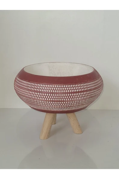 Puantiyeli Saksı Kaktüs Ve Sukulent Aranjman ürün görseli