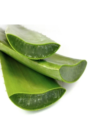 Aloe Vera Jel Için Doğal Yaprak 1. Kalite 3 Kg - 4