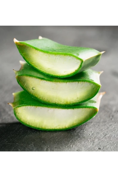 Aloe Vera Jel Için Doğal Yaprak 1. Kalite 3 Kg - 2