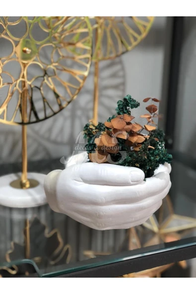 Dekoratif Avuç Saksı Gösterişli - Resim 2