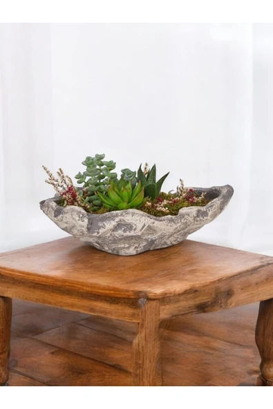 Taş Kayık Saksıda Kaktüs ve Sukulent Aranjmanı - Resim 4