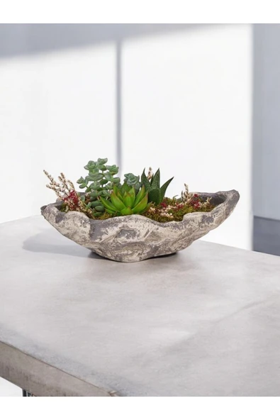 Taş Kayık Saksıda Kaktüs ve Sukulent Aranjmanı - Resim 5