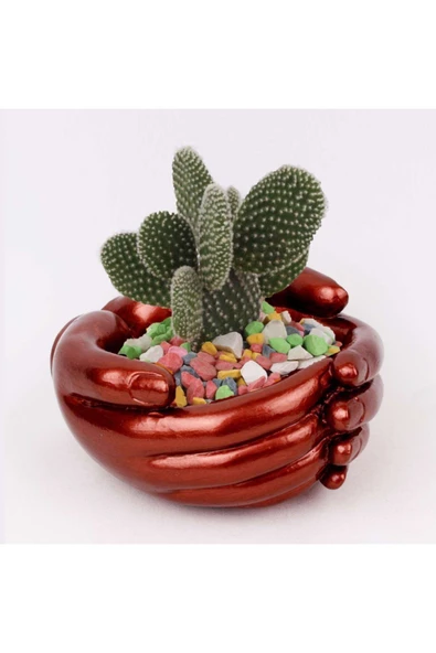 , Beton Saksı, Kaktüs & Sukulent Saksısı, Ev & Ofis Bitkisi, Saksı, Şekerlik, Dresuar, Elle Boyama ürün görseli