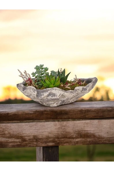 Kayık Saksıda Kaktüs ve Sukulent Aranjmanı ürün görseli 1