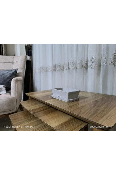 Salvador Dizayn  Tabaklı Taş Vazo Aranjman Bonsai ve Orkide Saksısı - Resim 4