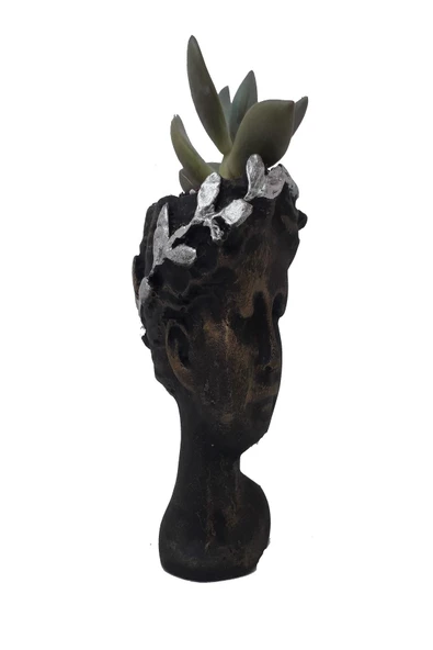 Helen Skulent Ve Kaktüs Saksısı - Resim 3