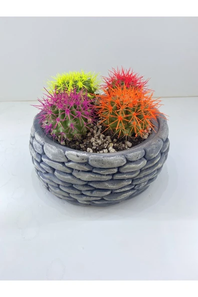 Renkli Kaktüs Aranjman - Resim 2