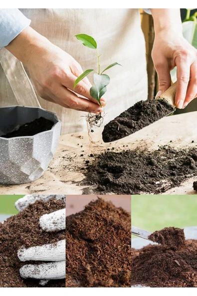 5 Litre Salon Bitkisi Toprağı Süper Organik 17 Çeşit Ağacın Yaprağı ve 3 Çeşit Doğal Gübrem Karışımı - Resim 2