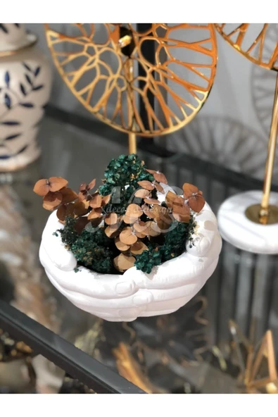 Dekoratif Avuç Saksı Gösterişli - Resim 3