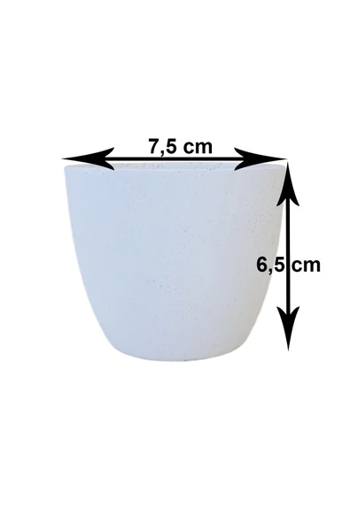 Saksı - Gold Kaktüs Saksı Beton Saksı Çiçek Saksısı Sükulent Saksısı ( (bus)) - Resim 2