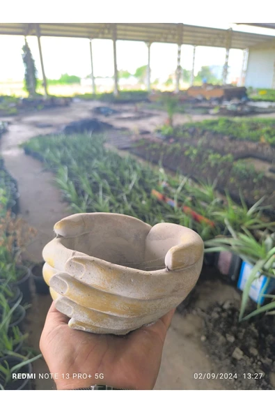 Avuç şeklinde taş Orkide bonsai ve aranjman saksısı - Resim 5