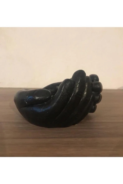 Avuç Siyah Saksı - Resim 2