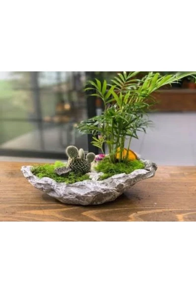 Kayık Taş Saksı - Resim 2