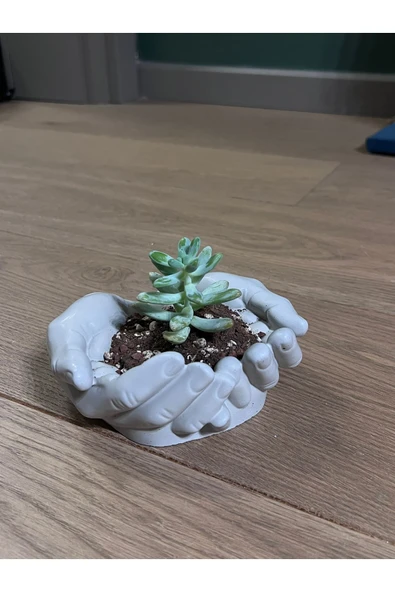 Palma Dekoratif Beton El Kase & Sukulent Saksısı Beyaz - 4