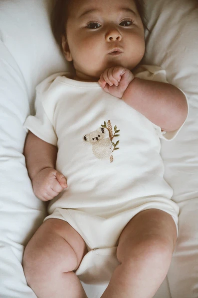 3lü Nakışlı Çıt Çıtlı Kısa Kollu Body Zıbın Model 1 - 4