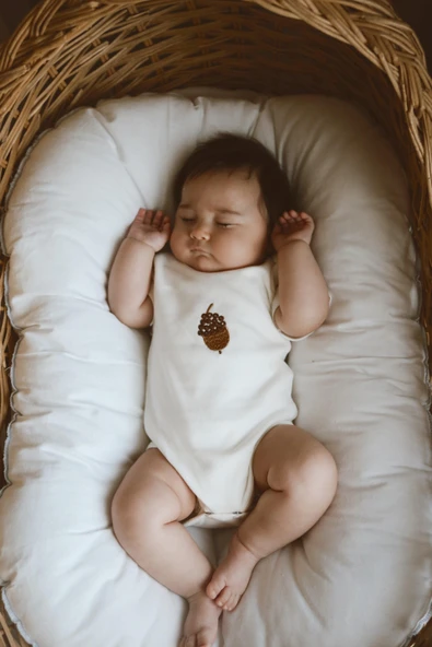 3lü Nakışlı Çıt Çıtlı Kısa Kollu Body Zıbın Model 1 - 6