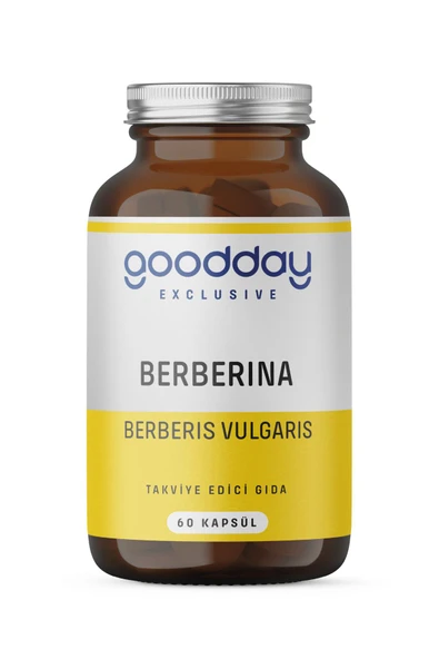 GOODDAY GOODDAY Berberina Kapsül %95 Berberin Içeren Besin Takviyesi