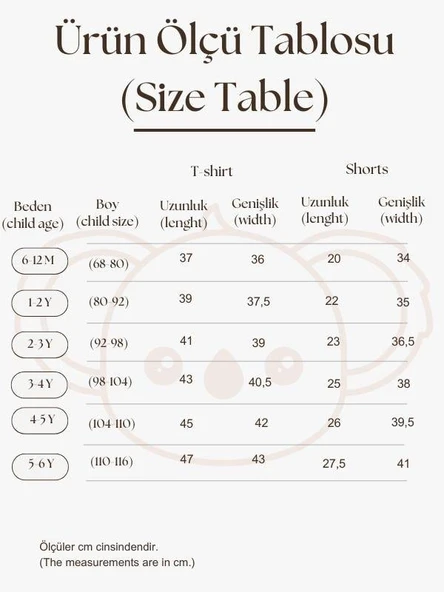 İndigo Çizgili Şort Takım - 5