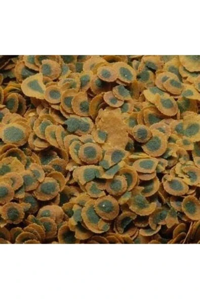 Pro Algae 100 Gram Bitkisel Balık Yemi - 2